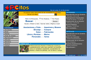 PCcitos.com en el año 2001